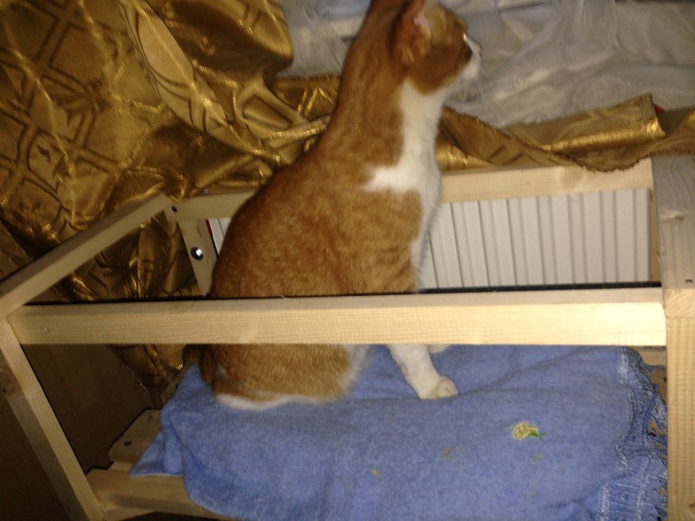 Bed for cats - do it yourself