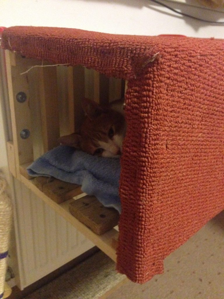 Bed for cats - do it yourself