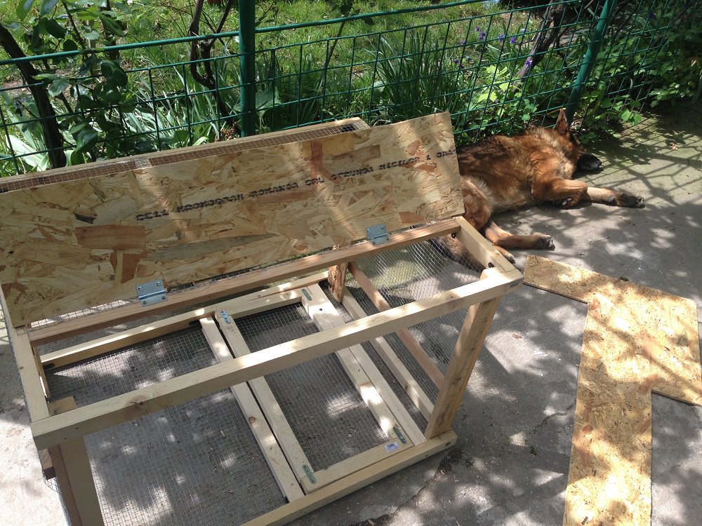 DIY - Cage for a Crow