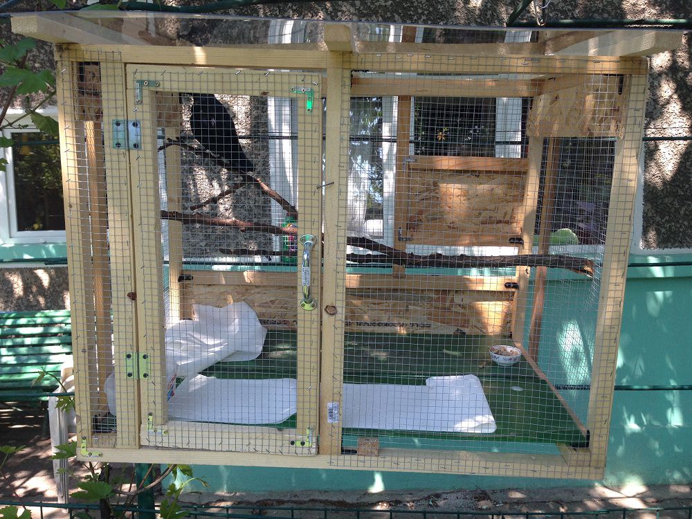 DIY - Cage for a Crow