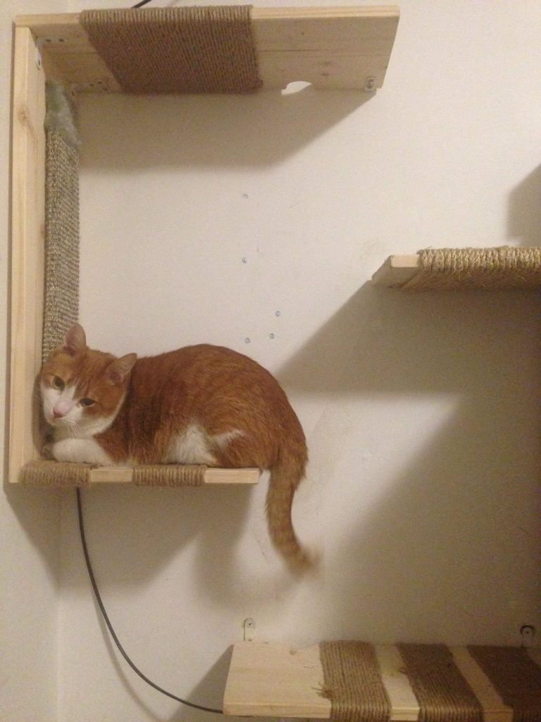 DIY - Cat Shelves
