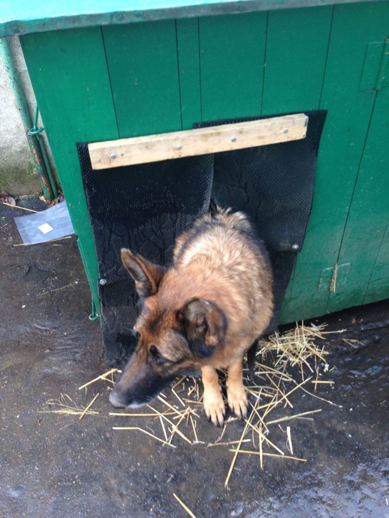 DIY - Cold Weather Dog House Door
