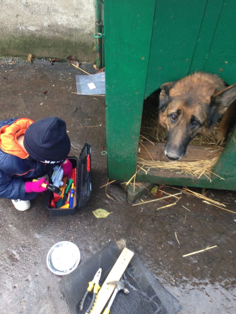 DIY - Cold Weather Dog House Door