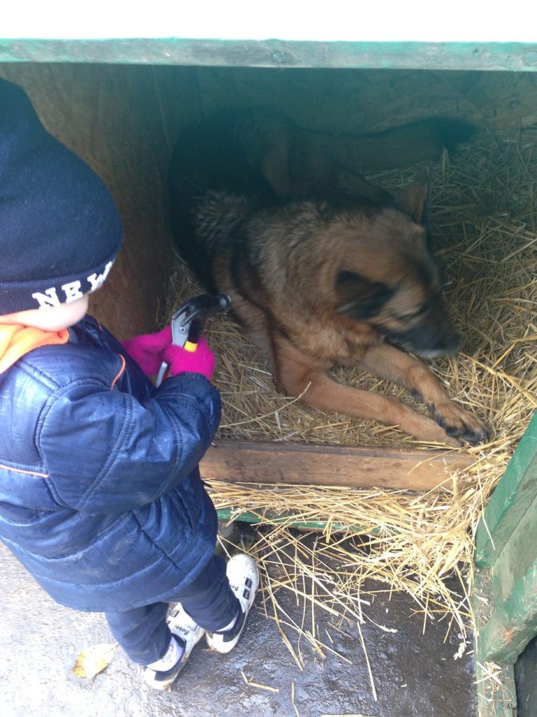 DIY - Cold Weather Dog House Door