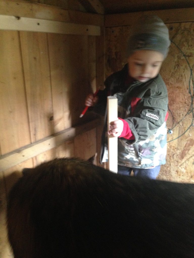 DIY - Cold Weather Dog House Upgrade