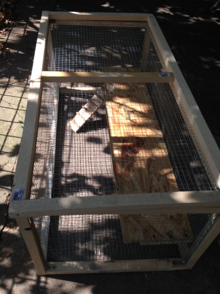 DIY - Hamster House