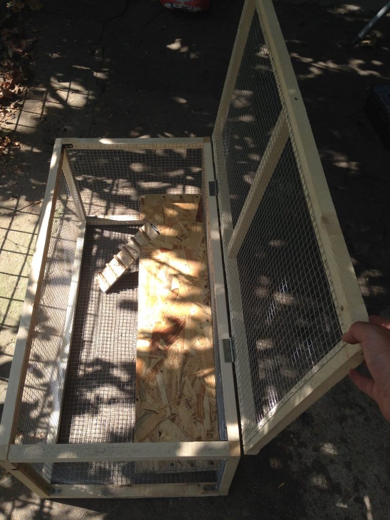DIY - Hamster House