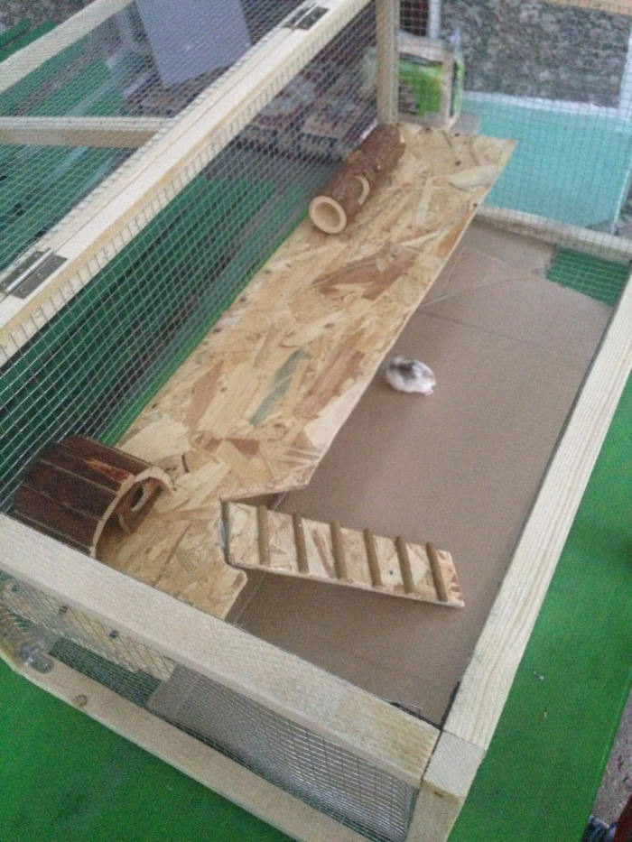 DIY - Hamster House