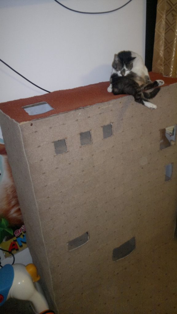 Do It Yourself - Castle for Cats