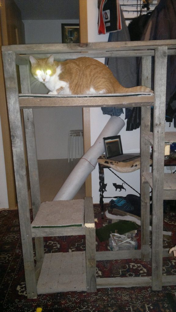 Do It Yourself - Castle for Cats